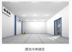速凍冷庫建造