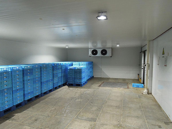 冷藏冷庫建造